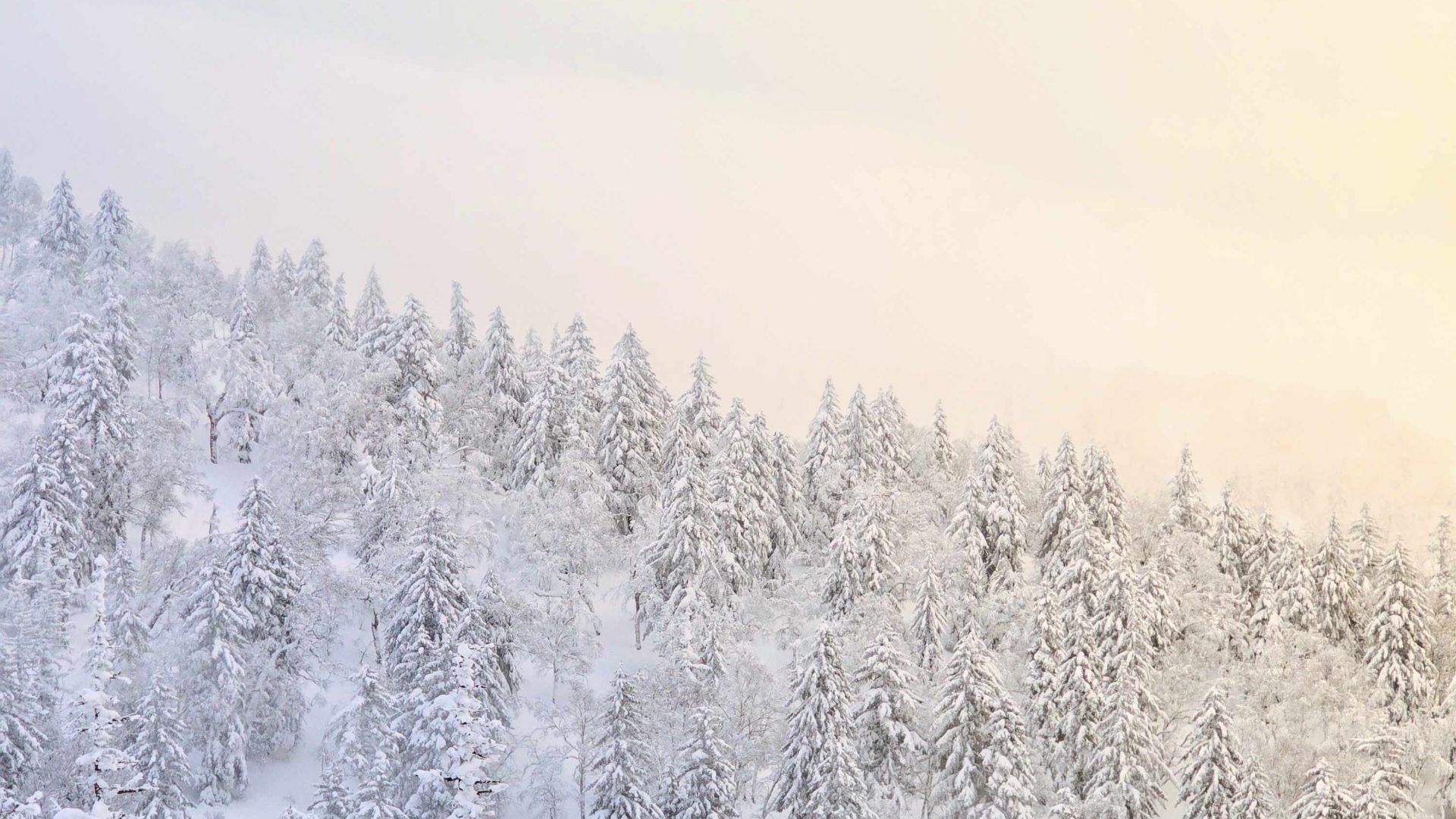 Гора Быкова