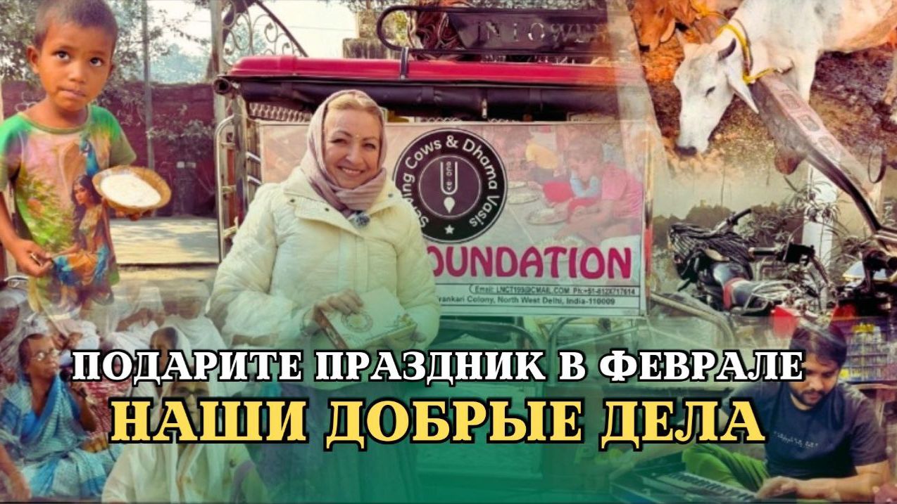 НАШИ ДОБРЫЕ ДЕЛА | Подарите праздник в феврале смотреть онлайн