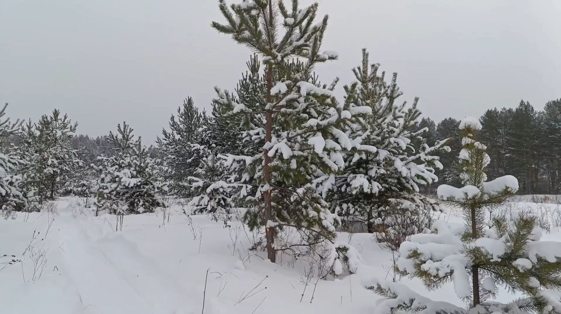 ПОСЛЕ СНЕГОПАДА смотреть онлайн