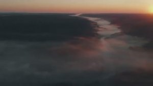 Лес и ветер