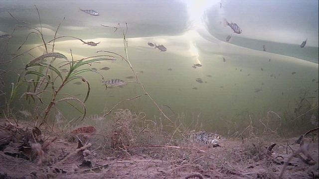 1000008428.mp4Волга гл.2м.29.01.2026г. смотреть онлайн