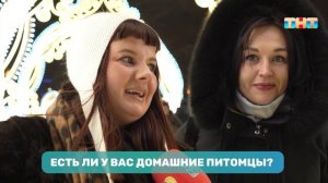 Соцопрос: есть ли у вас домашнее животное?