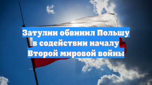 Затулин обвинил Польшу в содействии началу Второй мировой войны