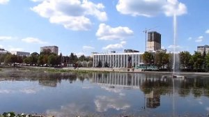 Кувшинки. Утки. Воробьи. Пруд Баранка