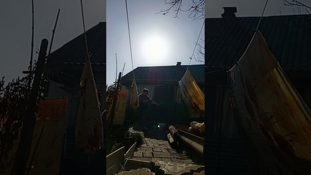 Дела домашние ✅ Бег по кругу 😁 смотреть онлайн