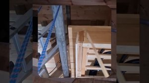 1000047288.mp4 (Собака наблюдает за устройством лестницы на 2 этаж в доме А-фрейм)