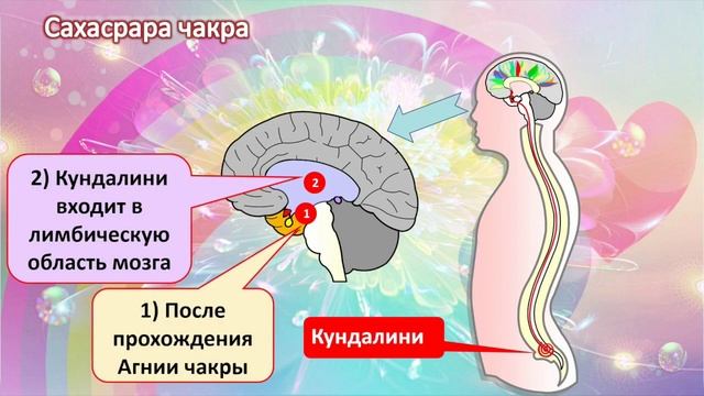 Сахастрара чакра. Описание. смотреть онлайн
