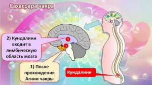 Сахастрара чакра. Описание.