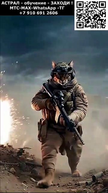 Боевые котики. Красивое астральное фэнтези. Позитив. Юмор. Нейросеть. ИИ #настроение #юмор #смешное смотреть онлайн