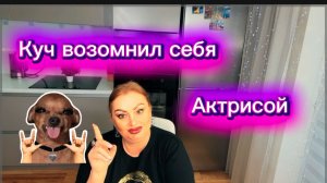 Куч сказал, что в ней умер актёрский талант🤣Фуфел во всём подтявкивает своей хозяйке и клянчит часы