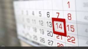 Эксперт заявила о юридических проблемах инициативы пересчитать отпускные дни