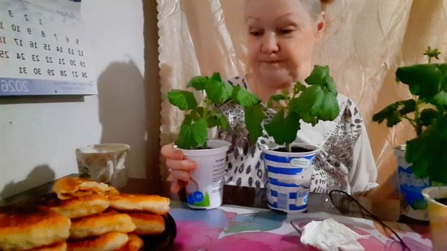 29. 01. 26 #mukbangtatyanaeats #пирожки смотреть онлайн