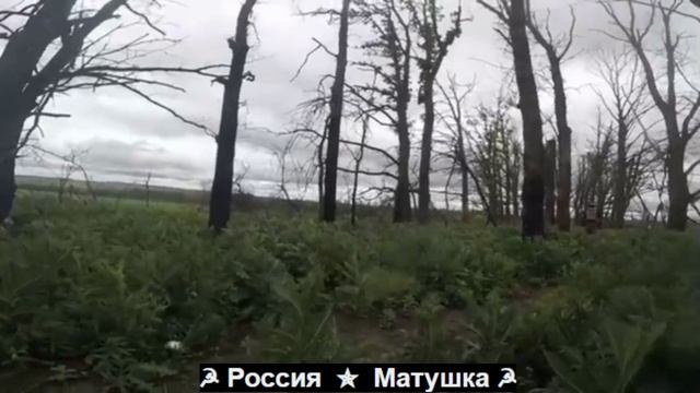 🔴«Сухарь» свалил бросив побратима.🐖🐖🔴 смотреть онлайн