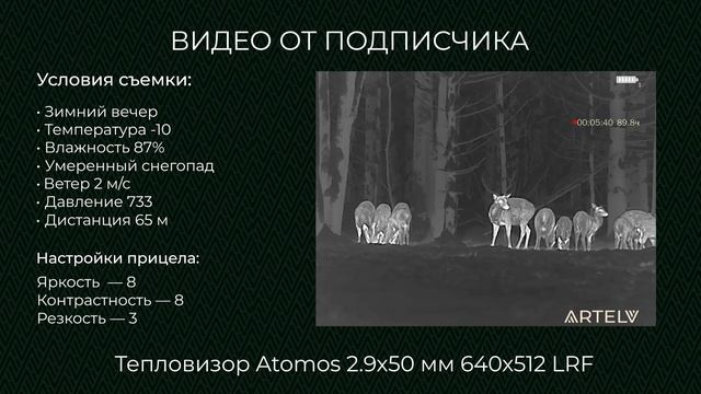 Как видит тепловизор Atomos 2.9x50 mm. Видео от подписчика. смотреть онлайн