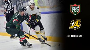 БАРС - ДИЗЕЛЬ. ОБЗОР МАТЧА