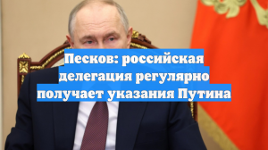 Песков: Делегация России по Украине регулярно получает указания от Путина