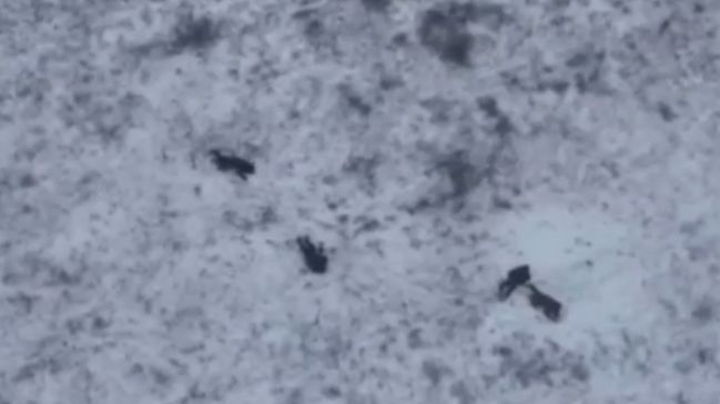 🔴Группа из четырёх пятаков попадает под стрелковый огонь и бесславно сдыхает🔴 смотреть онлайн