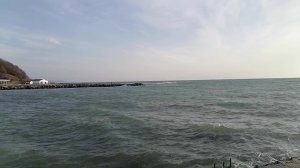 2026-01-29T19:36:28.142Z