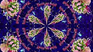 С Днём Рождения! Букеты роз 9 от Киностудии Мудрого Кота Тимофея!