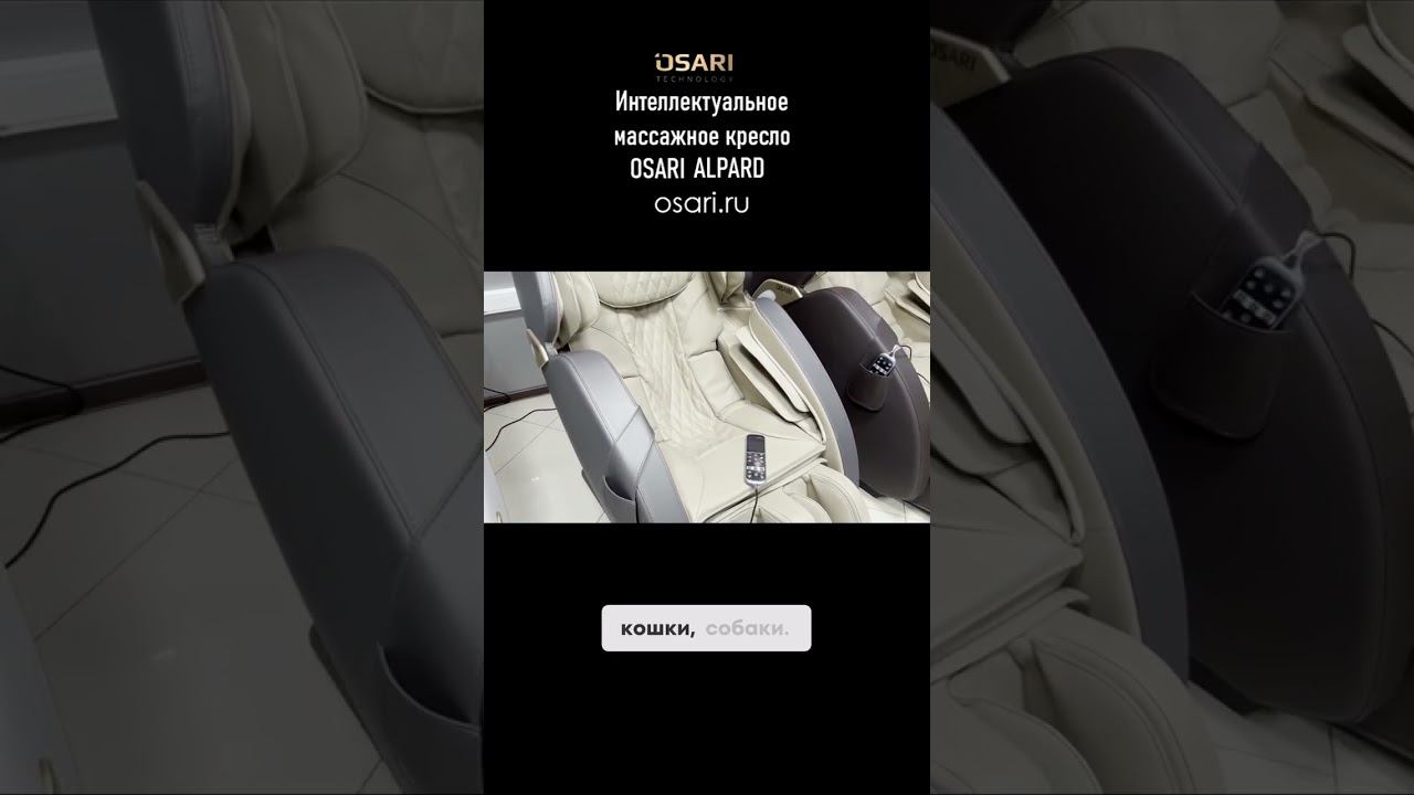 Секреты долговечности кресла Osari Alpard: сохраните в идеальном состоянии! смотреть онлайн
