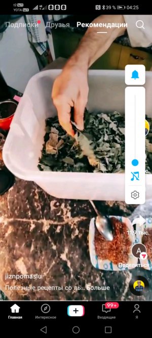 5 дней котик Миша мой не ел и не пил.Сегодня смогли выпустить с подвала его.Намыла, накормила, запла