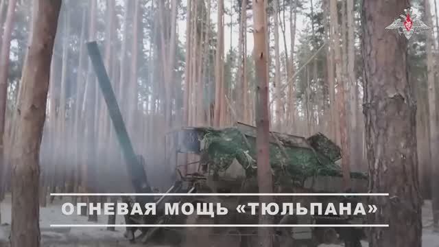 Боевая работа расчетов самоходных минометов «Тюльпан» группировки войск «Запад» смотреть онлайн