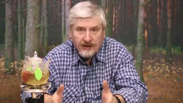 Как надо учиться смотреть онлайн