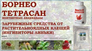 Борнео и Тетрасан - зарубежные контактные средства от растительноядных клещей. Обзор акарицидов