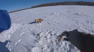 Зимняя рыбалка 26-27.01.2026