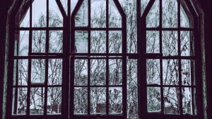 Полина Шебшаевич - "Сны богов". Часть 1 (фэнтези, читает Павел Пластинин)