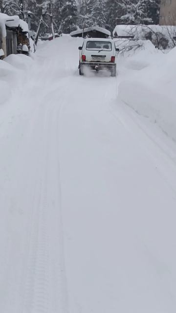 1000028842.mp4 смотреть онлайн