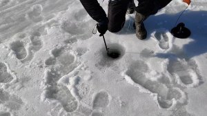 Болотоход зимняя рыбалка