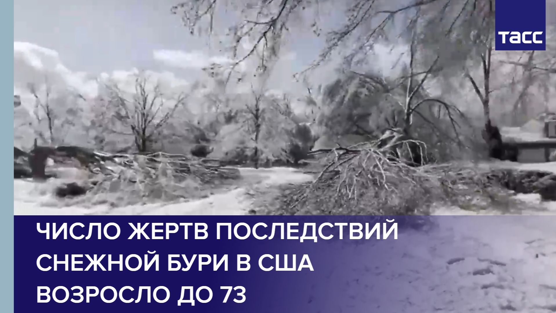 Число жертв последствий снежной бури в США возросло до 73 смотреть онлайн