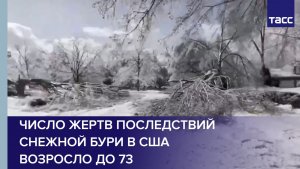 Число жертв последствий снежной бури в США возросло до 73