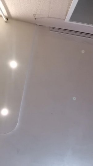 Чипи чипи чапа чапа