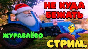 🧔♂️ ЖУРАВЛЁВО НЕ КУДА БЕЖАТЬ ИЗ КОЛХОЗА FS25 СТРИМ 🪇