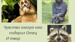 video_11993804117362.mp4