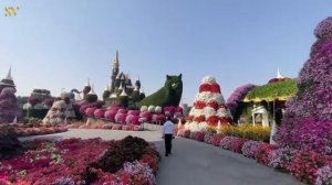 Самый большой в мире природный цветочный сад.