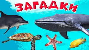 Загадки морские обитатели 🦈Для детей загадки 🦀