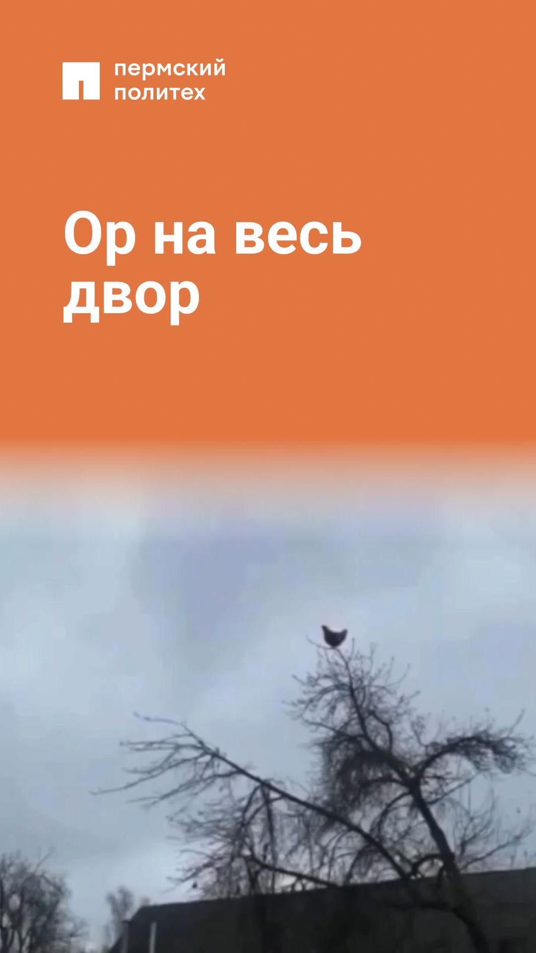 Это крик отчаяния смотреть онлайн