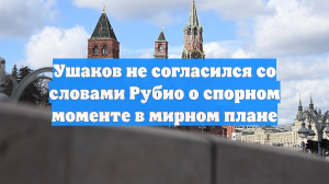 Ушаков не согласился со словами Рубио о спорном моменте в мирном плане