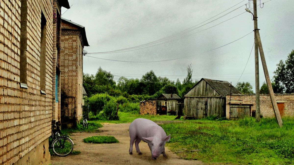 Приехади в деревню Астрилово смотреть онлайн