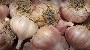 КАК СОХРАНИТЬ ЧЕСНОК ЗИМОЙ?! Лучший СПОСОБ хранения чеснока В КВАРТИРЕ.