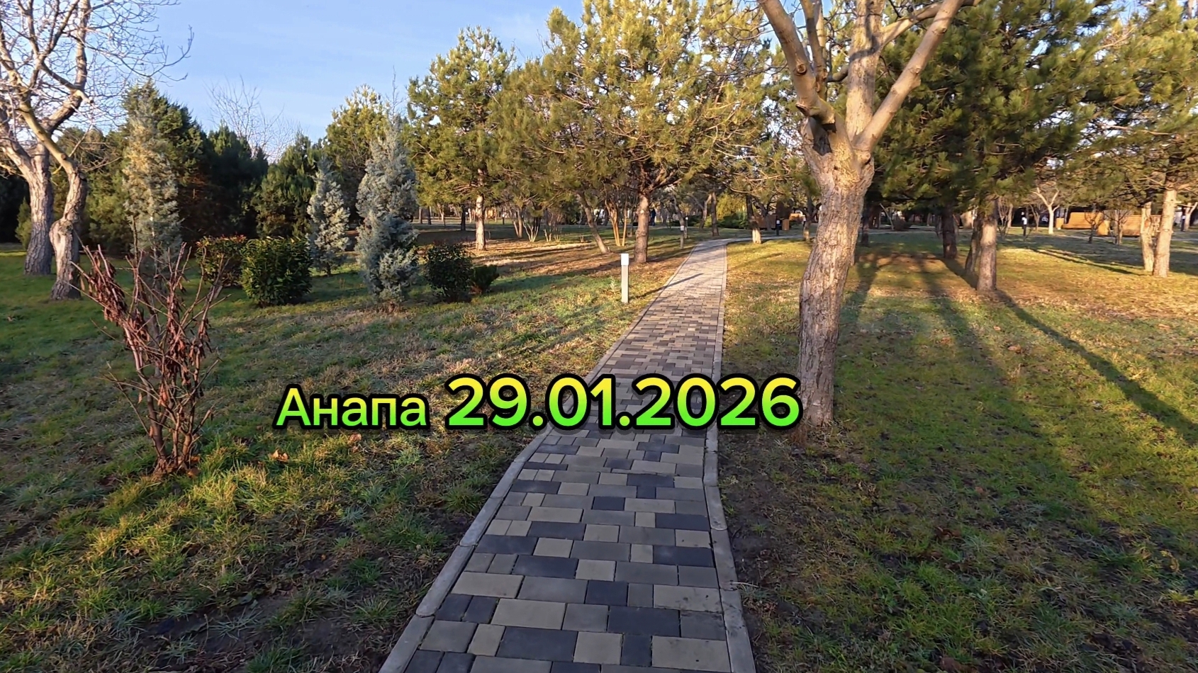 Анапа 29.01.2026 смотреть онлайн