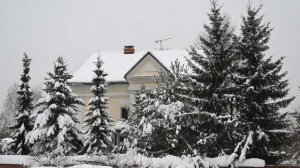 Подозреваемая задержана по делу о пожаре в хостеле, где погибли кубинцы