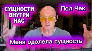 Сущности... и ВНУТРИ нас... #сущности #подселенцы #подключки