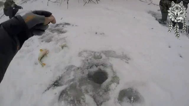 Рыбалка на озере Малашка смотреть онлайн