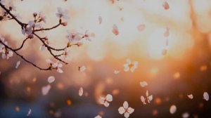 "Зеркало" авторская песня