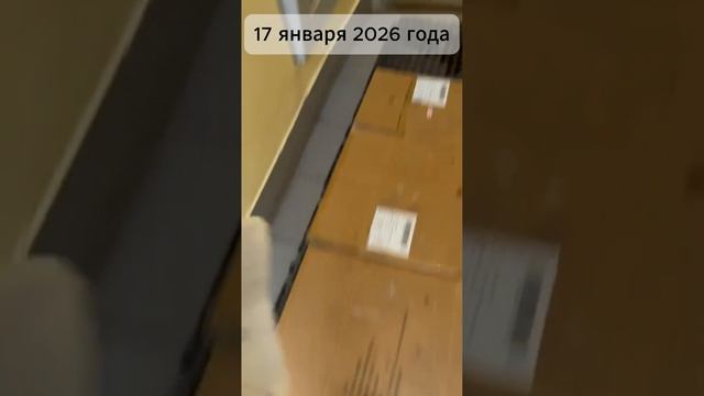 channel74741609 17.01.2026 смотреть онлайн