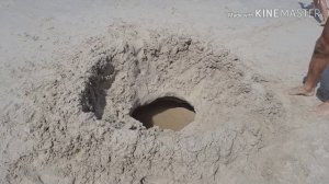 Дети-крабы Пхукет Таиланд 2019